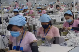 Binh Phuoc province vows to swiftly address business obstacles