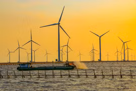 Bac Lieu prioritises renewable energy
