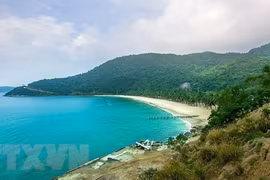 Four best spots for snorkelling in Vietnam