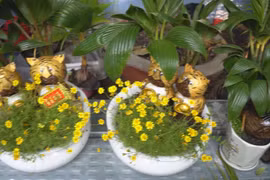 Tiger-shaped bonsai trees for Tet decorations