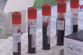 Covivac vaccine given to volunteers in 2nd phase clinical trials