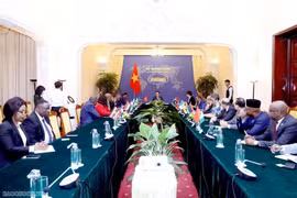 At the meeting between Deputy Minister of Foreign Affairs Do Hung Viet and ambassadors and chargé d'affaires from embassies in Hanoi and non-resident ambassadors from African countries. (Photo: baoquocte.vn)