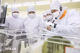 Prime Minister Pham Minh Chinh visits the semiconductor chip production line of Hana Micro Vina Co., Ltd., a Korean-invested firm specialising in semiconductor chip production in Van Trung Industrial Park, Viet Yen district, Bac Giang province (Photo: VNA)