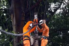 Workers from Hai Ba Trung Electricity in Hanoi fix an incident on medium voltage lines on Han Thuyen Street on September 8. (Photo: VNA)