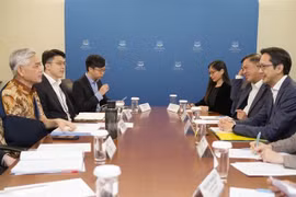 The 16th Vietnam-Singapore political consultation held in the city state on September 4 (Photo: VNA)