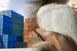 Indonesia to raise rice reserves to 2 million tonnes by year-end