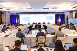 Participants at the16th Cambodia, Laos, Myanmar and Vietnam Economic Ministers' Meeting (CLMV-EMM 16) (Photo: VNA)