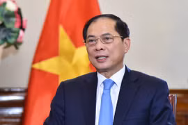 Deputy Prime Minister and Minister of Foreign Affairs Bui Thanh Son. (Photo: VNA)