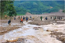ADB approves a 2 million USD grant to support Vietnam’s typhoon disaster response. (Photo: VNA)
