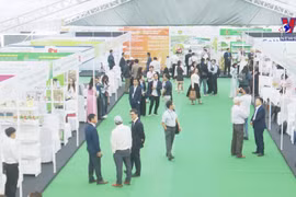 Int’l cashew nut conference opens in Quang Binh