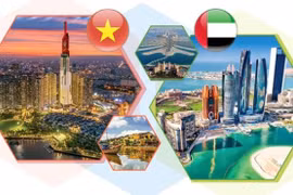 Vietnam-United Arab Emirates cooperative ties