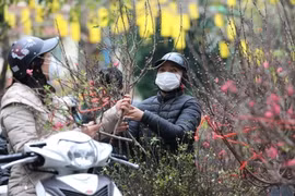 UN recognises Lunar New Year as a holiday