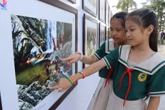Visitors at the photo exhibition “Vietnam Through the Lens of International Photographers” (Photo: VNA)
