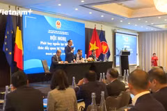 Overseas Vietnamese – a driving force for national breakthroughs