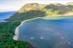 A corner of Con Dao National Park (Photo: VNA)
