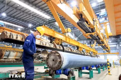 Production at an FDI firm in Phu My 3 Intensive Industrial Park (Photo: VNA)