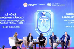 Delegates at the roundtable on protecting women and children in cyberspace on October 26 (Photo: VNA)