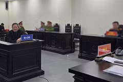 Defendant Tran Dinh Trien at the court. (Photo: VNA)