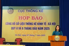 NSO Director Nguyen Thi Huong says that the global situation develops in a complicated and unpredictable fashion in the first half of the year. (Photo: VietnamPlus)