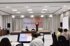 A seminar on strengthening regional labour cooperation and addressing the growing care economy amid rapidly ageing populations in many ASEAN countries (Photo: VNA)