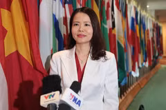 Vietnam’s re-election to UN Human Rights Council affirms growing global standing: Deputy FM