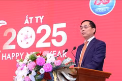 Deputy Prime Minister and Minister of Foreign Affairs Bui Thanh Son speaks at the press meeting in Hanoi on January 14. (Photo: VNA)