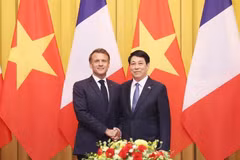Vietnamese, French Presidents hold talks in Hanoi
