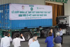 The first batch of low-carbon footprint rice is exported to Japan on June 5. (Photo: VNA)