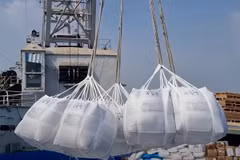 Vietnamese exporters are seeking to diversity their markets. (Photo: nongnghiepmoitruong.vn)
