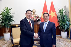 Deputy Prime Minister and Minister of Foreign Affairs Bui Thanh Son (R) and his Japanese guest Tanaka Yu (Photo: Ministry of Foreign Affairs)