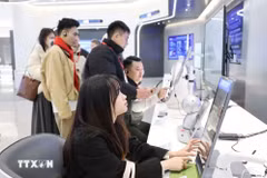 Vietnamese youths learn about AI application scenarios at the China-ASEAN AI Application Cooperation Centre in Guangxi. (Photo: VNA)