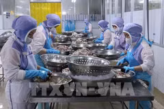 Workers process seafood for export at Huy Nam Co., Ltd in Kien Giang province. (Photo: VNA)