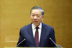 General Secretary of the Communist Party of Vietnam (CPV) Central Commitee and President To Lam speaks at the conference. (Photo: VNA)