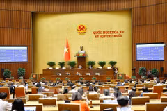 At a NA working session (Photo: VNA)
