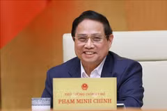 Prime Minister Pham Minh Chinh (Photo: VNA)