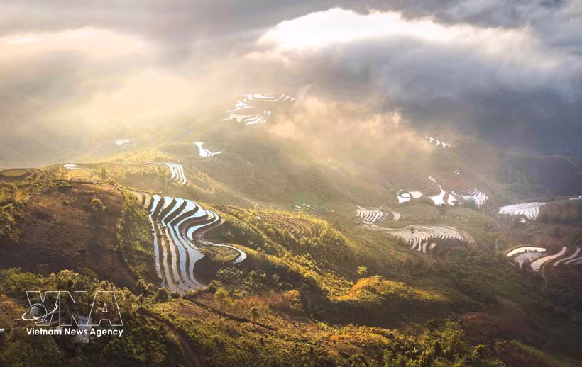 Terraced fields shimmering with water create a picturesque scene in Lang Sang Village, Ta Xua Commune. (Photo: VNA) 