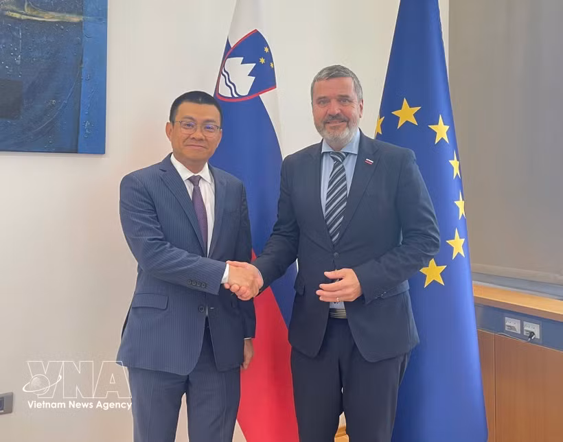 Vietnamese Ambassador to Austria and Slovenia Vu Le Thai Hoang (left) meets with Slovenian Minister of Foreign and European Affairs Tone Kajzer in Ljubljana on October 8, 2026. (Photo: VNA)