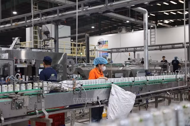 Workers operate a production chain at a plant in the Châu Đức Industrial Park, HCM City. (Photo: VNA)