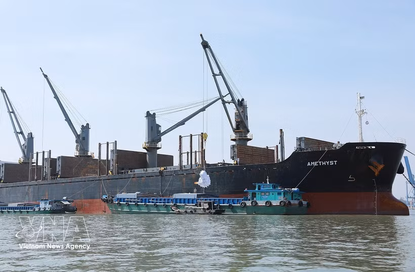 Transporting and loading commercial rice for export by the Southern Food Corporation. (Photo: VNA) 