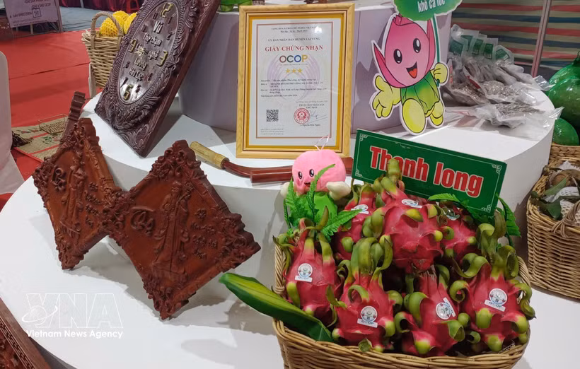 Red-fleshed dragon fruit and handicrafts rated three-star under the OCOP programme from Hung Thinh Phat Clean Agriculture Cooperative in Tan Thuan Binh commune, Dong Thap province. (Photo: VNA)