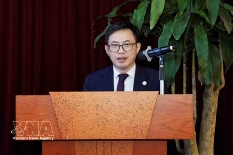 Deputy Director General of the Intellectual Property Office of Vietnam Lê Huy Anh speaks at the meeting. (Photo: VNA)