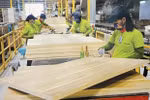 Workers at a factory in the southern province of Binh Duong process wood for export. (Photo: VNA)