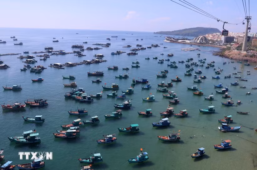 Vietnam advocates sustainable development of its marine economy and aims to maintain the sustainable growth of the fisheries sector with a fleet structure and fishing methods aligned with the aquatic resource exploitation capacity. (Photo: VNA)
