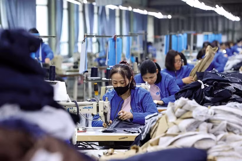 The garment-textile sector is among the industries that have made the most of the EVFTA to boost exports to Europe. (Photo: baodautu.vn)