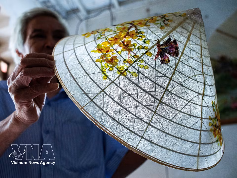 Artisan Vo Ngoc Hung has spent years experimenting with tropical almond leaves, transforming what was once discarded into distinctive translucent conical hats. (Photo: Van Chi/Published by VNA)