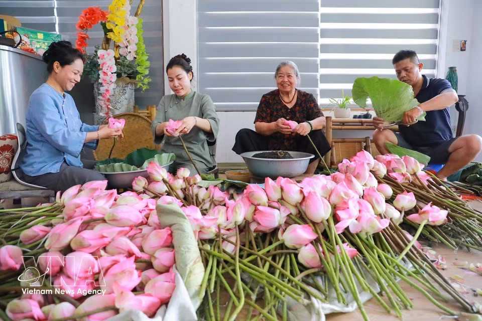 The tea-scenting steps are meticulously and swiftly distributed among family members to ensure the best possible aroma retention. (Photo: VNA)