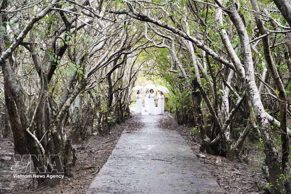 Visitors explore the Ru Cha mangrove forest in Hue city. (Photo: VNA)