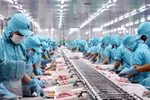 Aquatic exports post 34% growth in 10 months