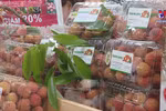 “Golden time” for Vietnam’s lychee exports coming: experts