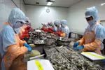 Agro-forestry-fisheries export hits 35.5 bln USD in nine months 